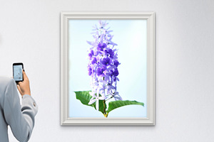 Petrea Volubilis Fine Art Print