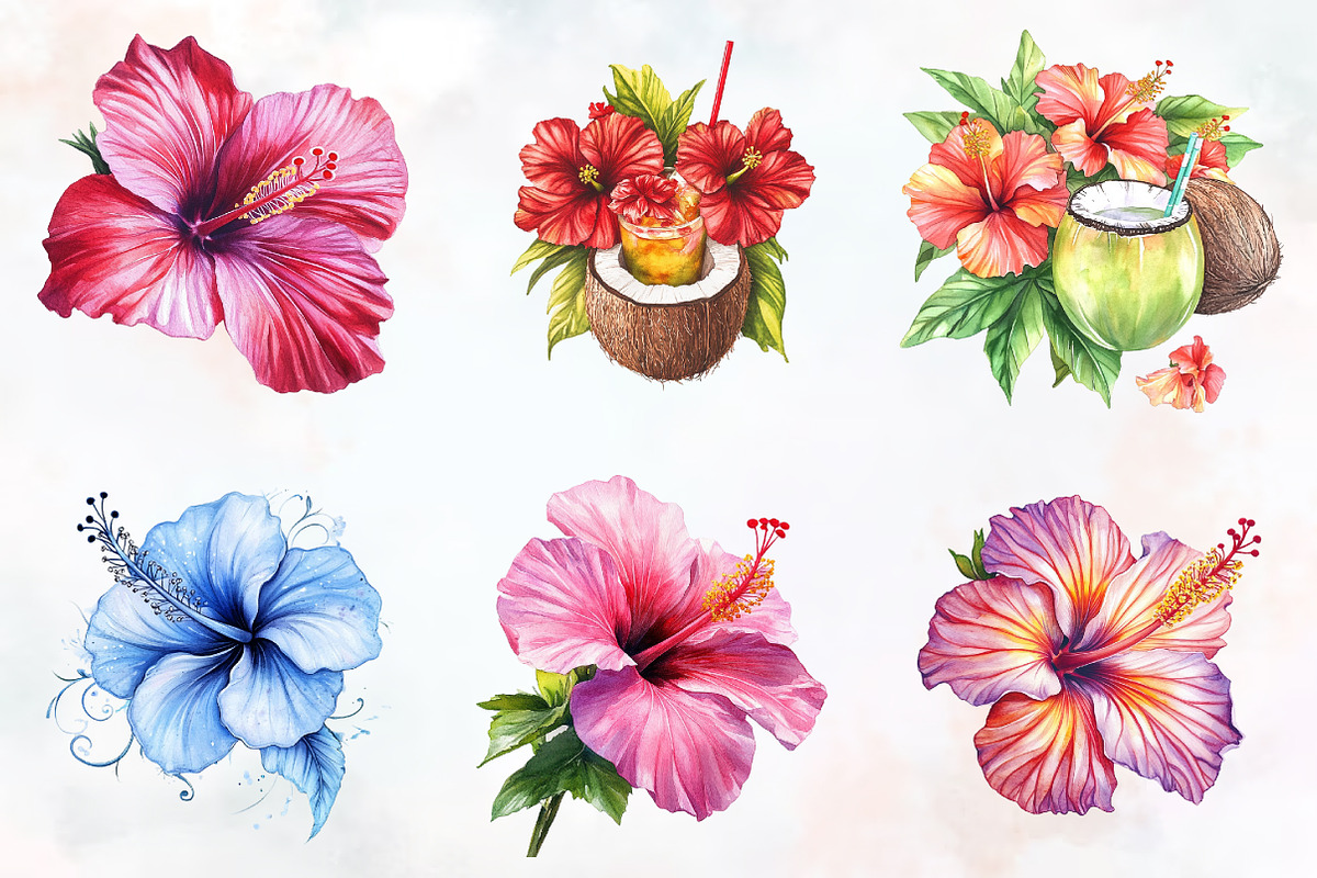 Hibiscus Flower Watercolor ClipArt's, an Illustration by RobertsArt (Photo 6 of 7)