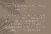 Gatlinburg - Modern Serif Font, a Serif Font by Cruzine (Thumbnail 7 of 8)