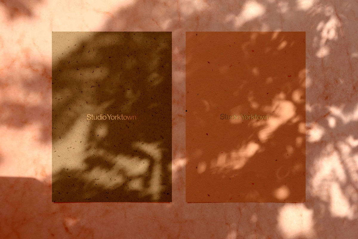 Madara - Botanical Shadow Overlays, a Texture Graphic by Studio Yorktown (Photo 11 of 17)