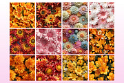 3D Flower Seamless Pattern, a Pattern Graphic by Forhadx5 (Thumbnail 10 of 10)