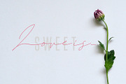 Challista Signature - 30%OFF, a Script Font by madeDeduk (Thumbnail 2 of 8)