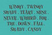 Wimqy, a Serif Font by graphicook (Thumbnail 6 of 10)