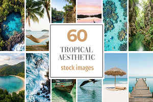 Tropical Ocean Stock Photos, a Nature Photo by Selenique Studio