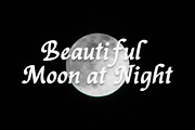 Rackham, a Handwritten Font by Rotterlab Studio (Thumbnail 5 of 12)