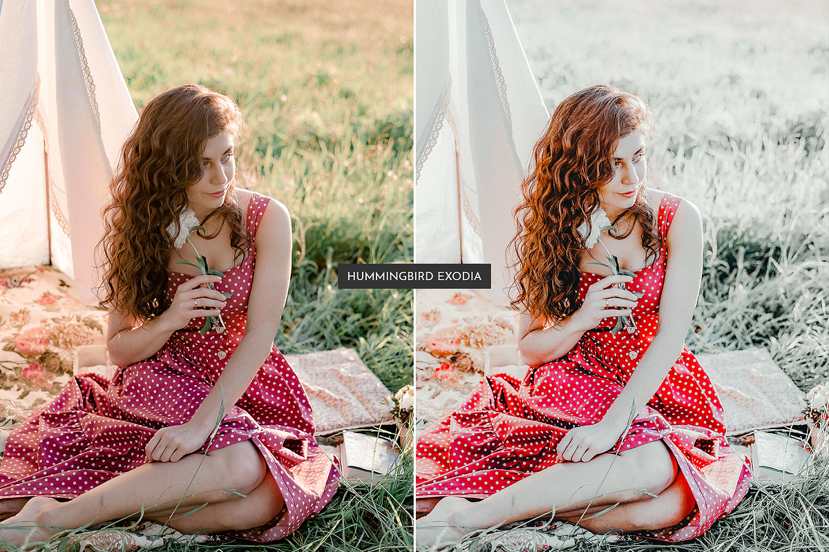 HummingBird Lightroom Presets Pack, an Action Add-On by PixelHive Pro (Photo 9 of 9)