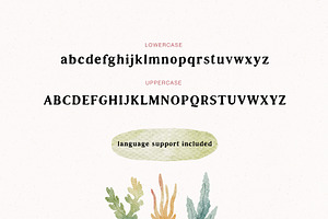 Sea Shell Font & Illustrations