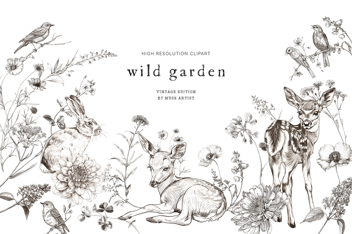 CREATIVE DESIGN BUNDLE - 15K, a Decorative Illustration by Muse Artist (Photo 16 of 60)