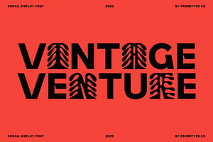 Corail Display Font - Tropics Font