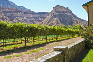 Wine industry in colorado featuring agriculture, colorado, and palisades