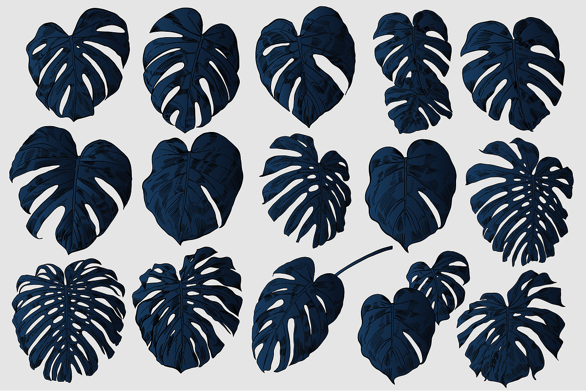Dark Monstera leaves, an Illustration by Tanya Akhmett (Photo 6 of 7)
