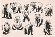 Bear Illustrations Hand-Drawn Vector, an Animal Illustration by Trape Graphic Studio (Thumbnail 5 of 10)
