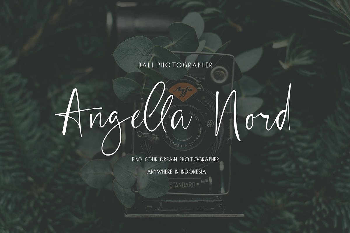 Chic Luxury Font Duo preview 7