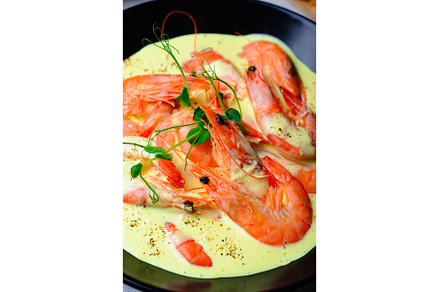 Creamy Shrimps with Sauce in a Bowl, a Food & Drink Photo by Julie208