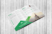 Corporate Bifold Brochure Template, a Brochure Template by Alice_s (Thumbnail 8 of 12)