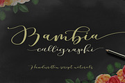 Calligrapher's  Font Bundle (98%Off), a Script Font by Genesis Lab (Thumbnail 20 of 44)