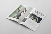 Magazine Template 58, a Magazine Template by pmvch (Thumbnail 5 of 10)