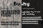 Bushy font family, a Script Font by vlad.berla (Thumbnail 8 of 12)