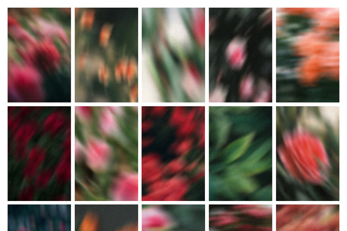 Drifting Blooms, a Background Graphic by Dina Mae (Photo 12 of 12)