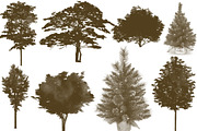 100 Tree Brush Stamps Photoshop, a Brush Add-On by Chipshpow Graphics (Thumbnail 7 of 8)