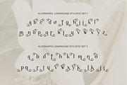Malovi - Modern Elegant Serif, a Serif Font by Font Liner (Thumbnail 12 of 13)
