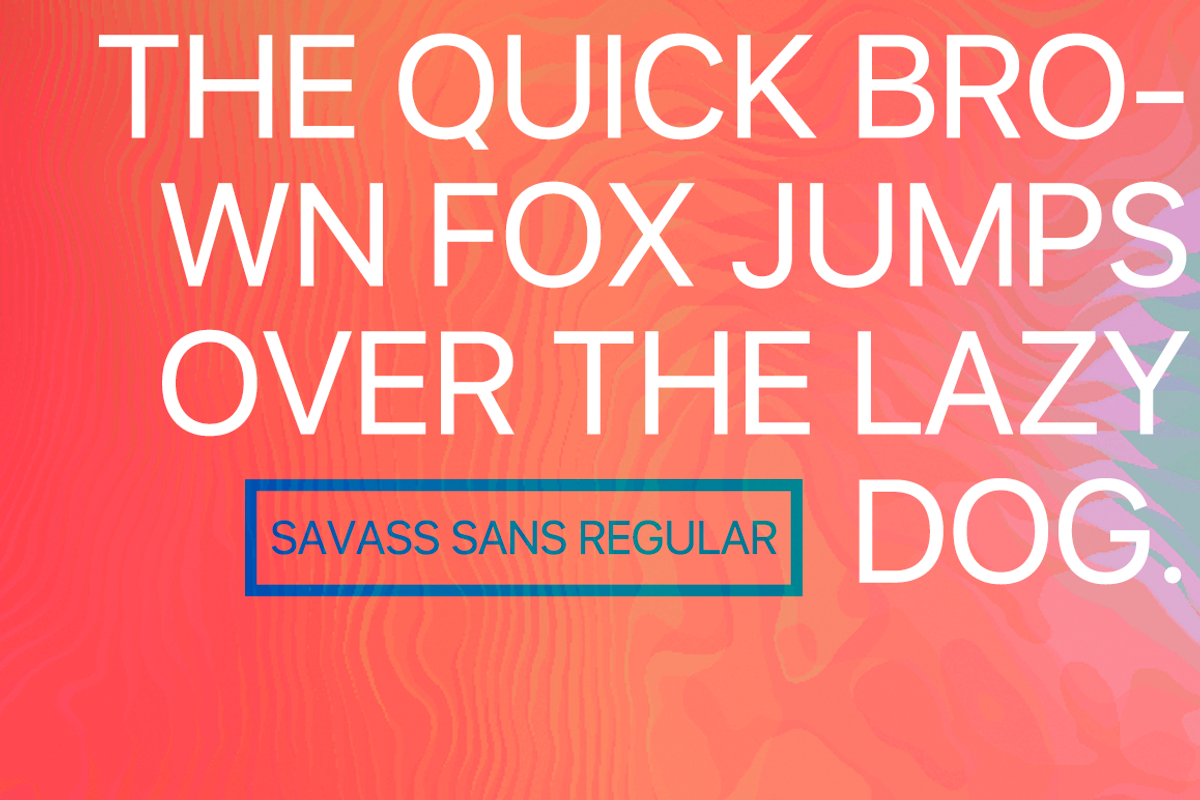 Savass Sans, a Sans Serif Font by Alvotype (Photo 4 of 5)