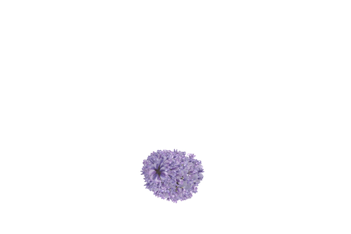 Wisteria, an Environmental 3D Model by AndrewWhite (Photo 4 of 10)