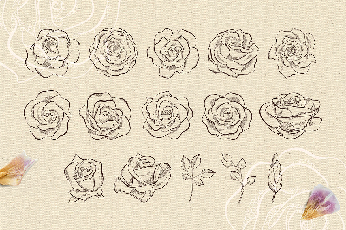 Roses Procreate Stamp Brushes, a Brush Add-On by Little Nordic Atelier (Photo 3 of 4)