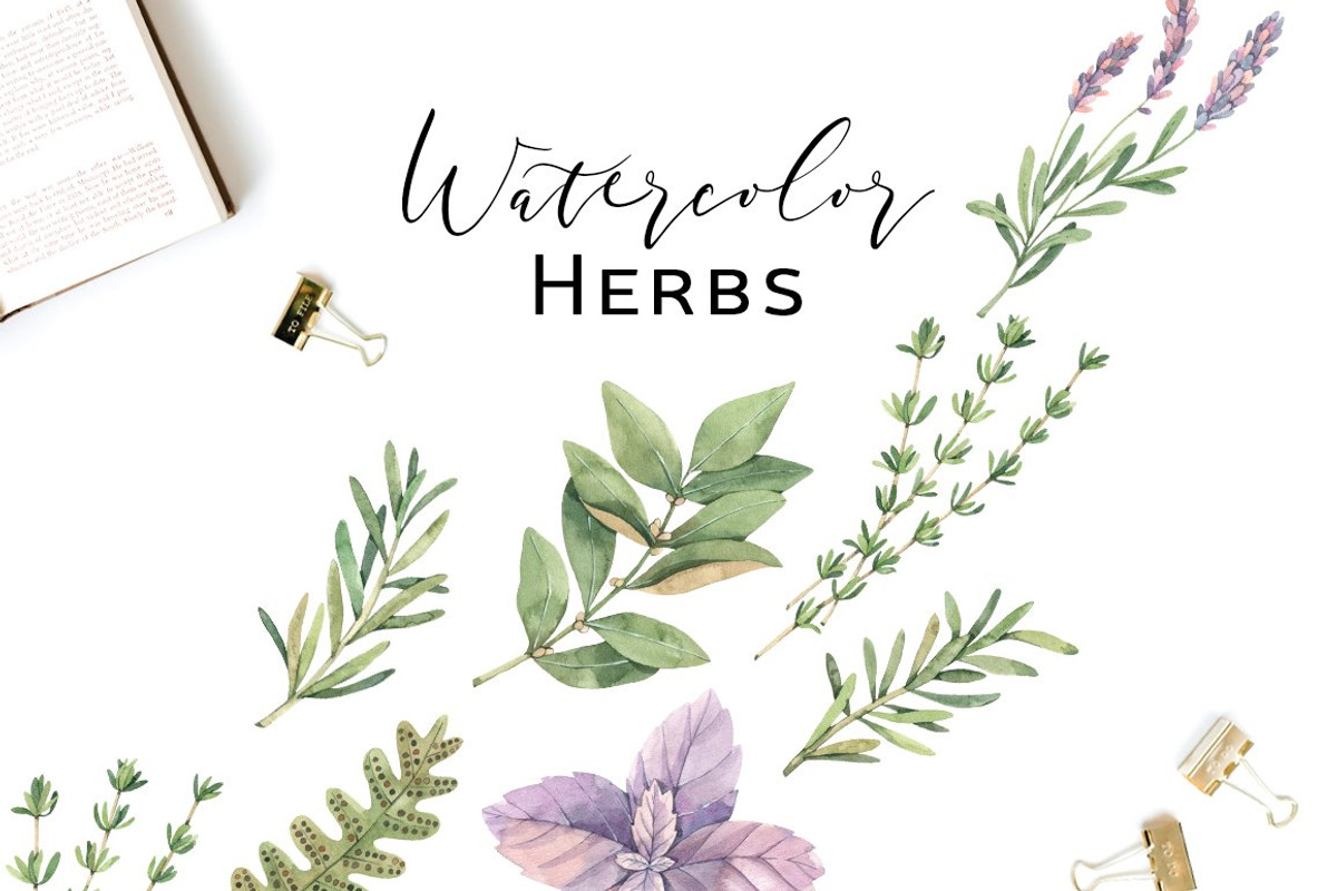 Floral bundle | Watercolor SALE, a Decorative Illustration by Kate Macate (Photo 3 of 28)