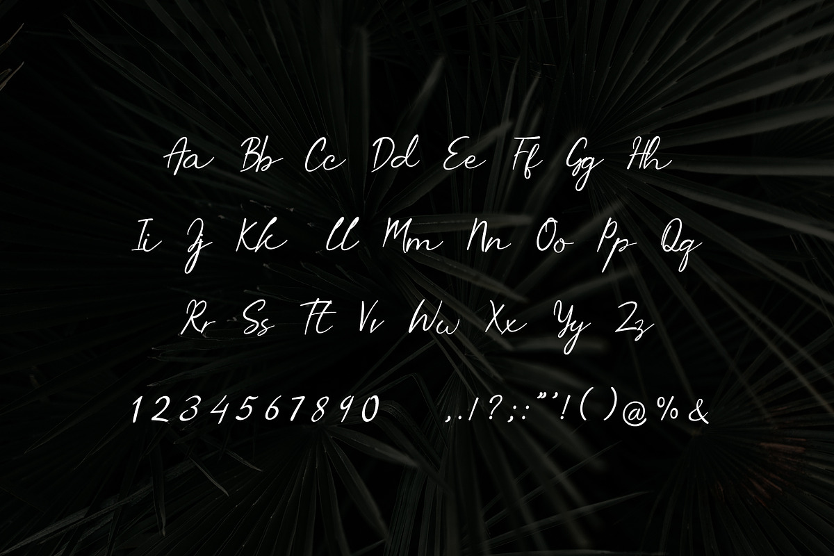 Serendipity Handwritten Font, a Script Font by UICreative (Photo 6 of 6)