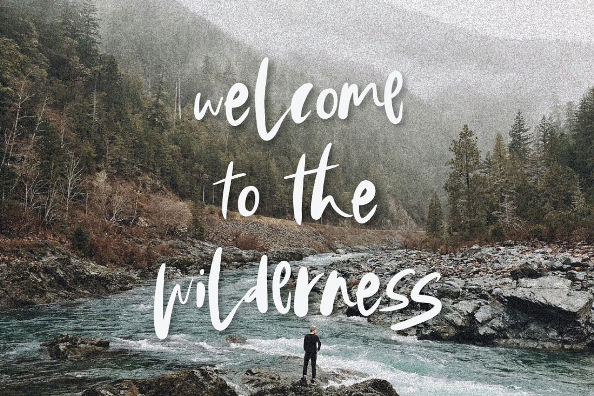 Wild Things Brush Font, a Script Font by Digital Hustler (Photo 9 of 10)