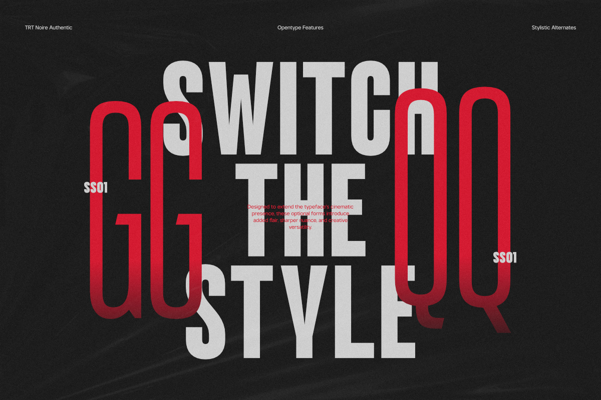 TRT NOIRE Authentic Condensed, a Sans Serif Font by truetype (Photo 3 of 15)