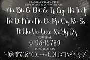 Vintage Wedding, a Handwritten Font by FreshTypeINK (Thumbnail 8 of 8)