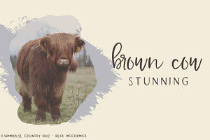 Farmhouse Country Rustic Font Duo