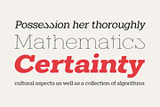 Midles Slab, a Slab Serif Font by Attract Studio (Thumbnail 15 of 15)