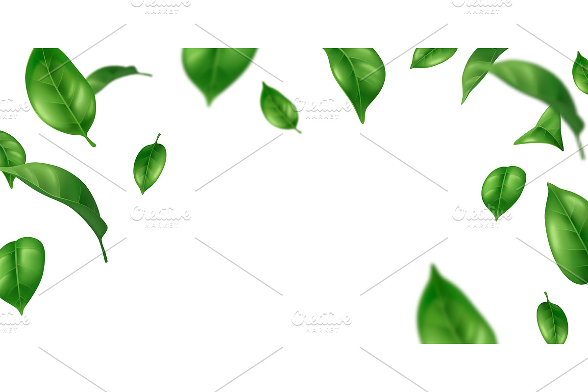 Realistic flying green leaves frame, an Object Illustration by art PVP - market