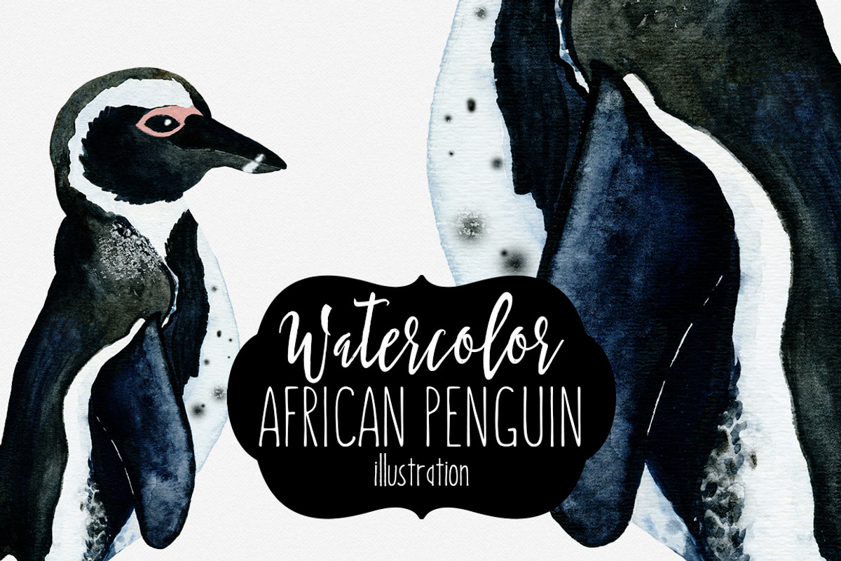 Cute Watercolor Penguin Illustration, an Animal Illustration by ClipartBrat Graphics (Photo 1 of 3)