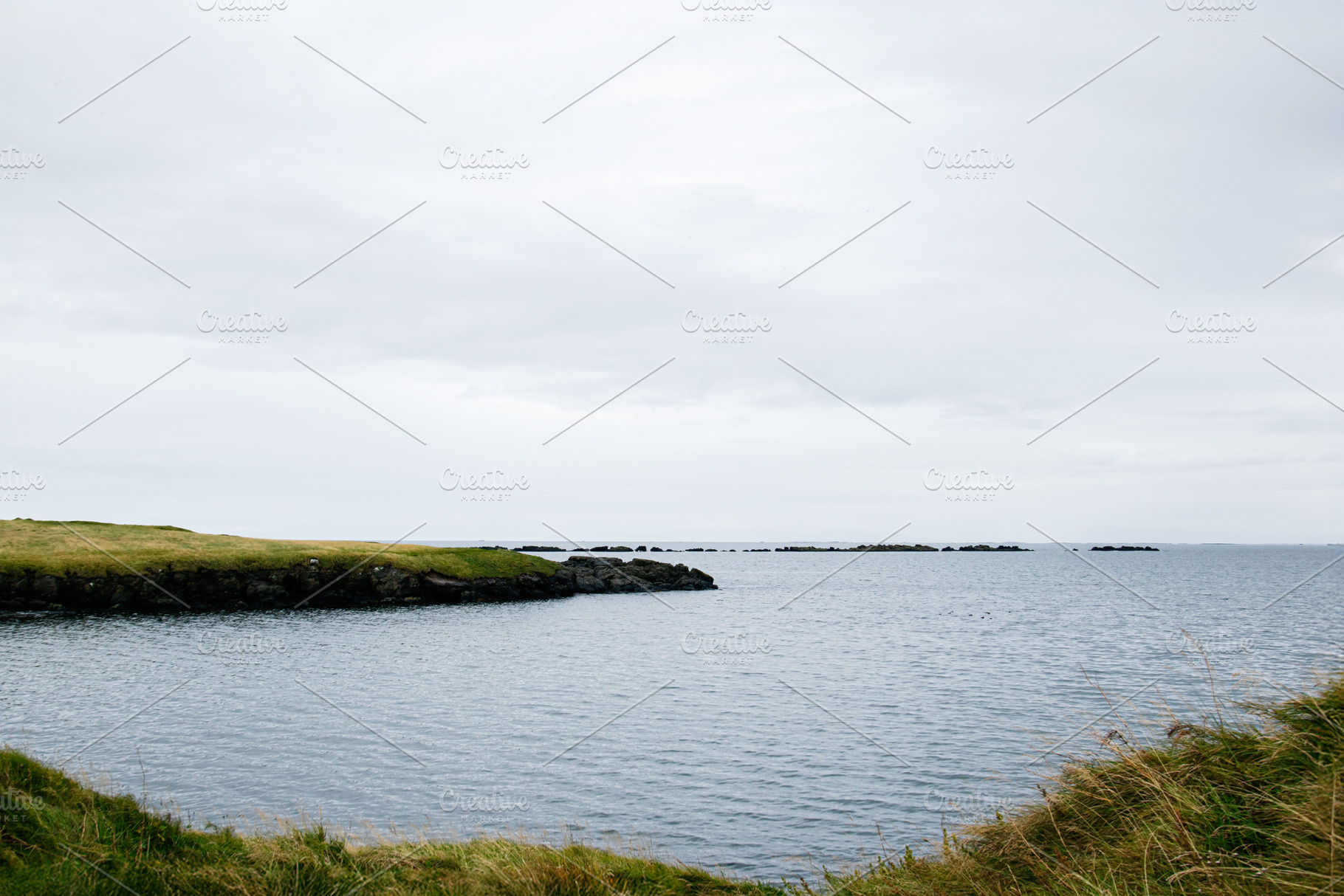 Peaceful coastal landscape of Iceland with ocean and grassy cliffs under cloudy, a Nature Photo by AS photostudio