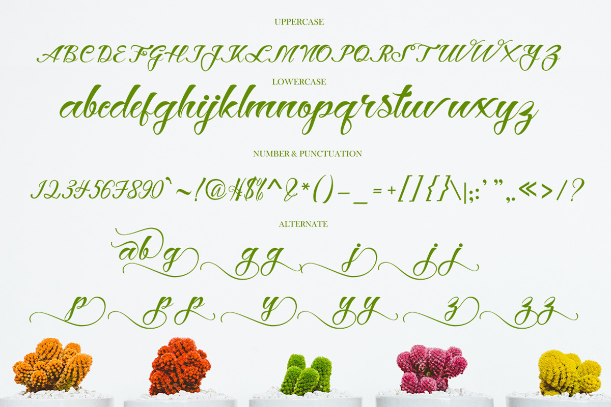 Hey Jintan, a Script Font by Gatype (Photo 10 of 10)