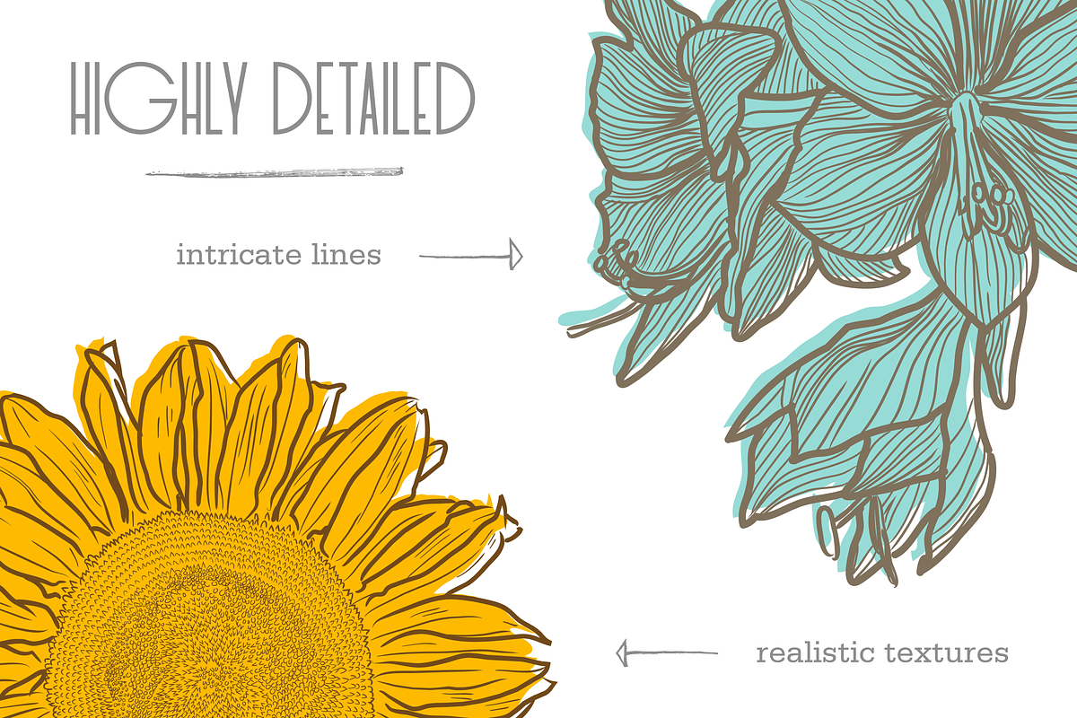 HandDrawn Flower Library, an Illustration by Linseed Studio (Photo 8 of 10)