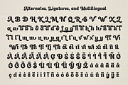 Gladolia - Chunky Groovy Font, a Serif Font by Dharmas Foundry (Thumbnail 15 of 16)