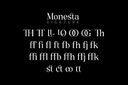 Monesta Bold, a Serif Font by ShowUp! Studio (Thumbnail 13 of 15)