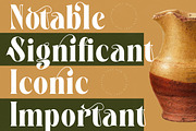Martego Modern Bold Serif Font, a Serif Font by timelesstype.co (Thumbnail 5 of 20)