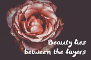 Nouria - Handwritten Script Font, a Script Font by Mila Visuals (Thumbnail 2 of 3)