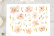 Watercolour Flowers and Patterns, a Decorative Illustration by eclosque (Thumbnail 4 of 8)