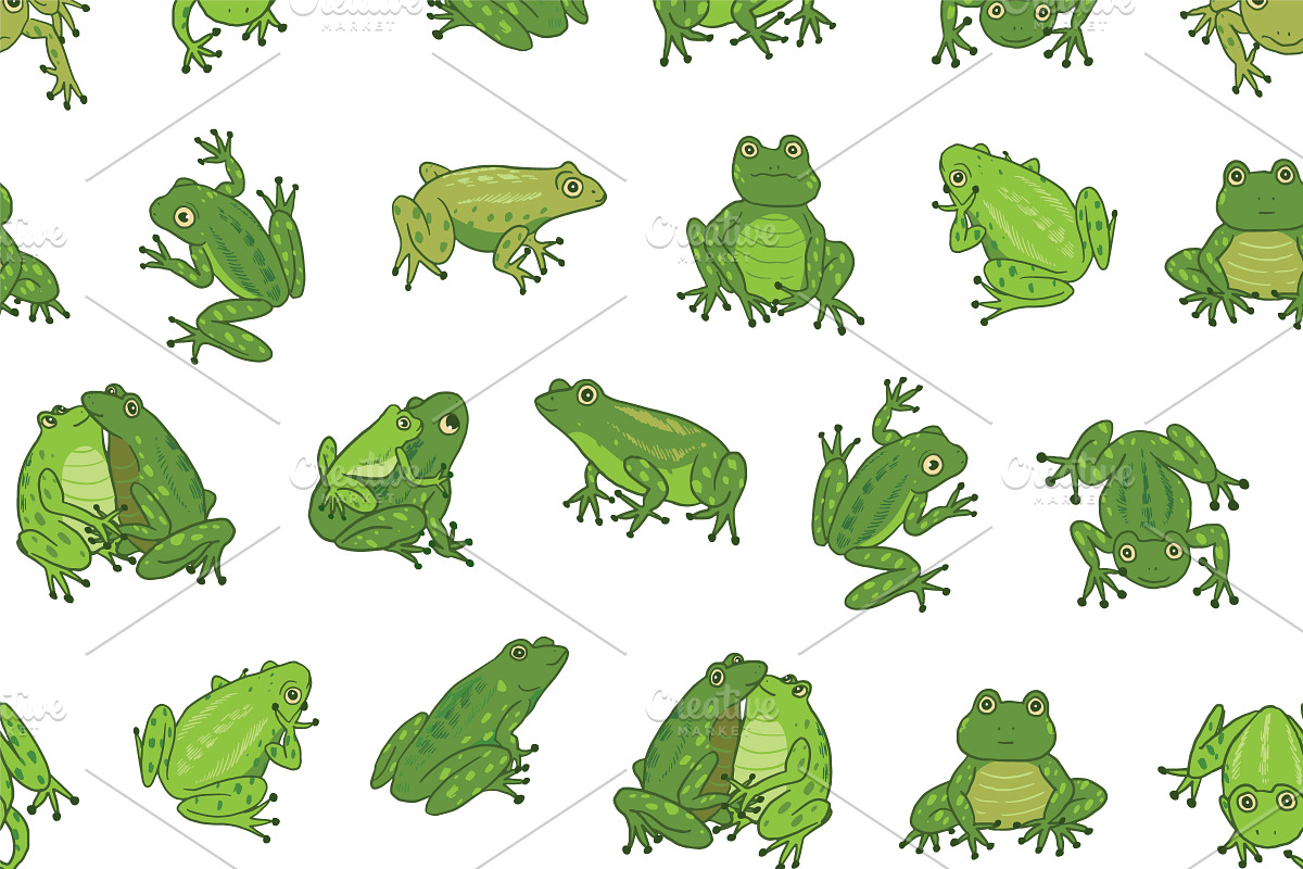 16 Frogs, an Animal Illustration by GooseFrol (Photo 7 of 11)