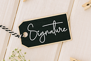 Blushing Saturday | Script Font, a Handwritten Font by Scratchones (Thumbnail 4 of 8)