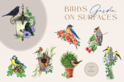 Garden Birds Watercolor Painted Set, an Animal Illustration by AnitaPol (Thumbnail 4 of 21)