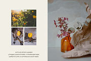Ars Botanica | Full Identity Pack, a Branding & Logo Template by The Responsible Creatives (Thumbnail 6 of 17)