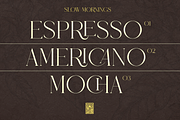 MEROVEL – Elegant Retro Serif, a Serif Font by ToniStudio (Thumbnail 4 of 13)